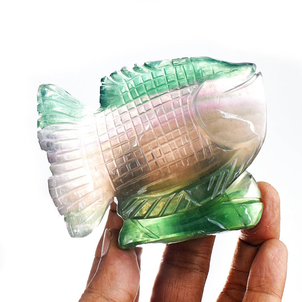 Gorgeous 1384.00 Cts Genuine Multicolor Fluorite Hand Carved  Crystal Gemstone Carving Fish