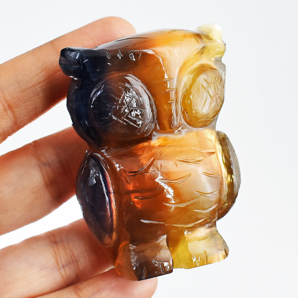 Amazing 800.00 Cts Genuine Multicolor Fluorite Hand Carved Crystal Gemstone Owl Carving