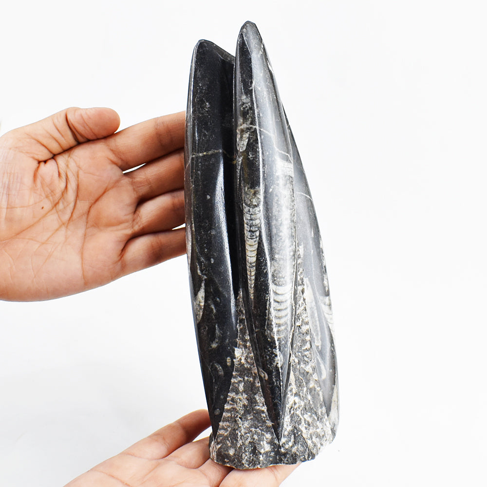 Genuine 6135.00 Carats Orthoceras Free Form Crystal Specimen Gemstone Healing Tower