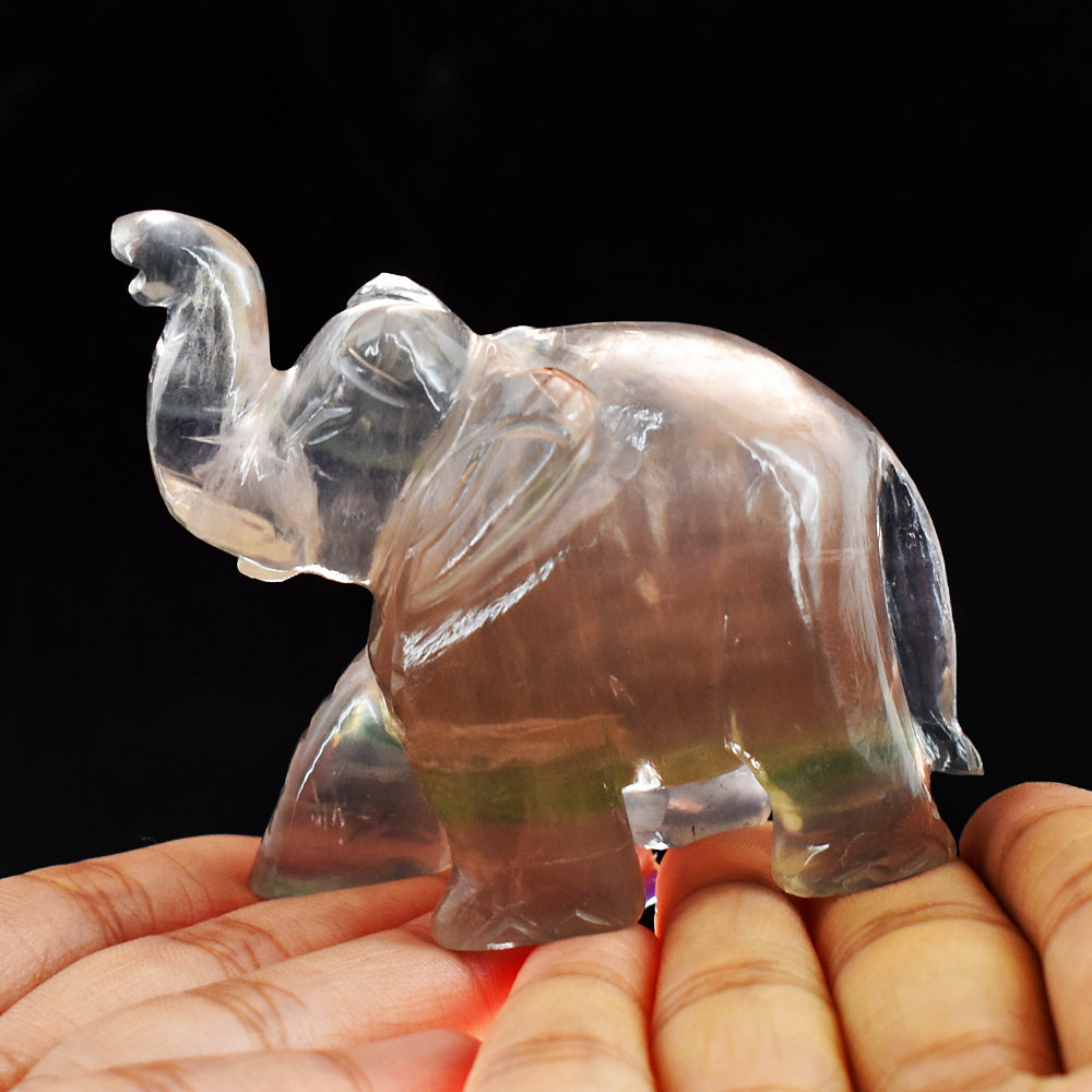 Natural  726.00  Carats  Genuine Multicolor Fluorite Hand Carved Crystal Elephant Gemstone Carving