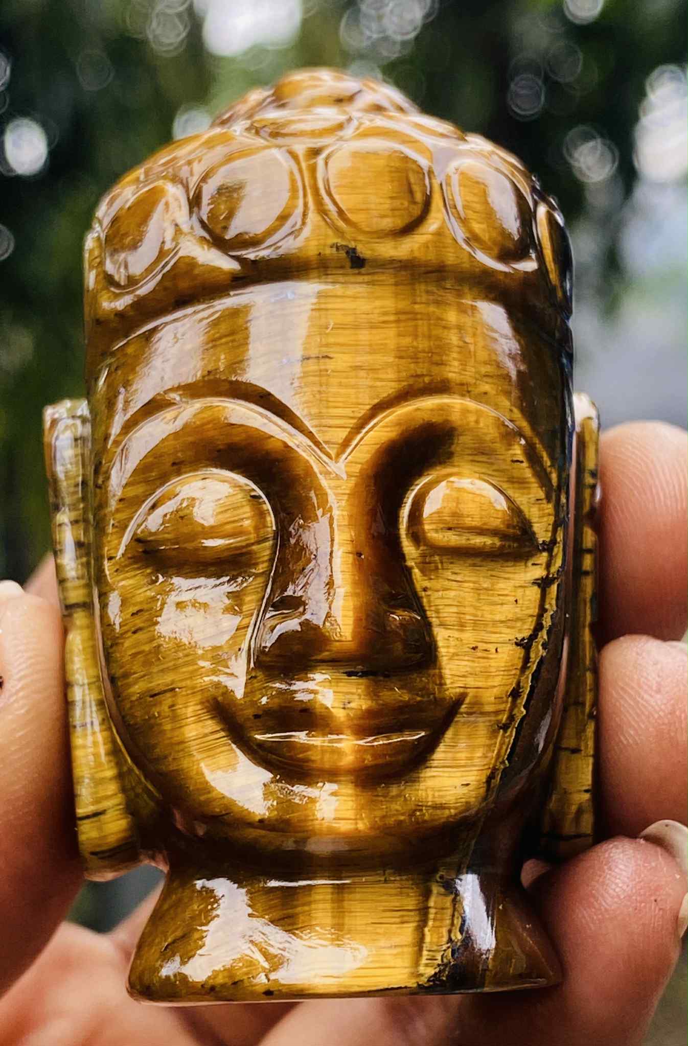 Awesome  602.00 Cts Genuine Tiger Eye Hand Carved Genuine Crystal Gemstone Carving Buddha Head