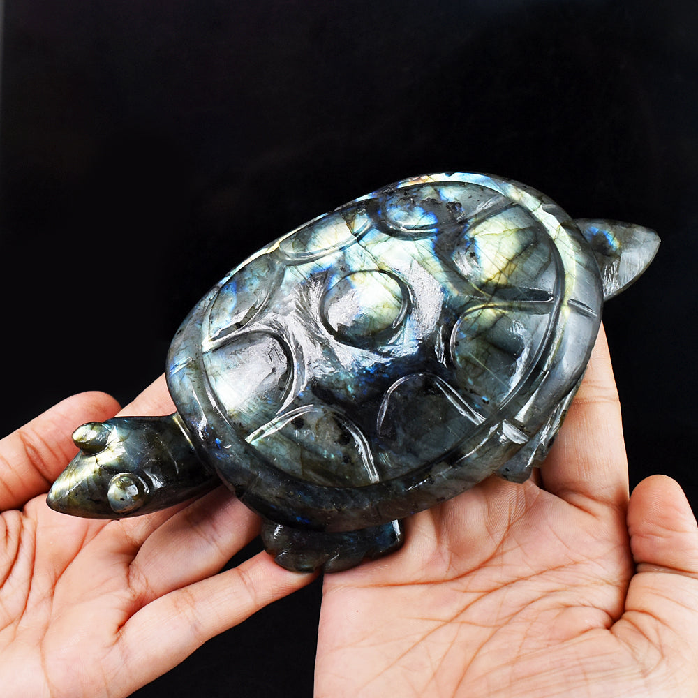 Exclusive 3122.00 Cts  Genuine Golden &  Blue Flash Labradorite Hand Carved  Crystal  Gemstone Turtle Carving