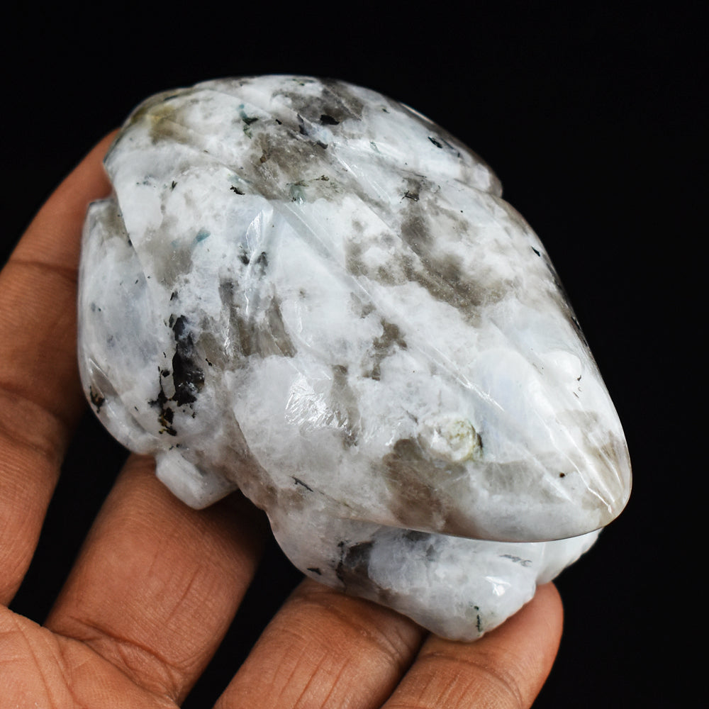 Amazing 804.00 Cts Genuine Blue Flash Moonstone Hand Carved Gemstone Frog Crystal Carving