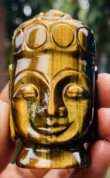 Stunning 619.00 Cts Genuine Tiger Eye Hand Carved Genuine Crystal Gemstone Carving Buddha Head