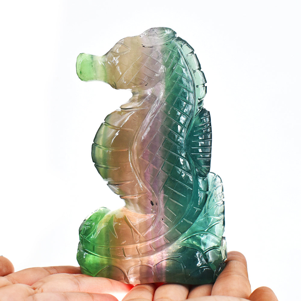 Gorgeous 3479.00 Cts Genuine Multicolor Fluorite Hand Carved Crystal Gemstone Seahorse Carving