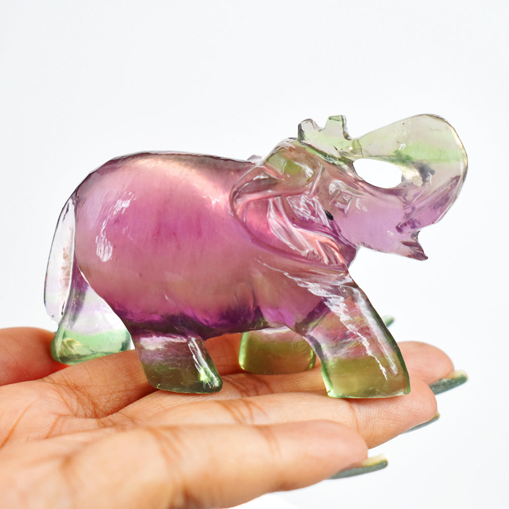 Gorgeous 590.00 Cts Genuine Multicolor Fluorite Hand Carved Crystal Gemstone Carving Elephant