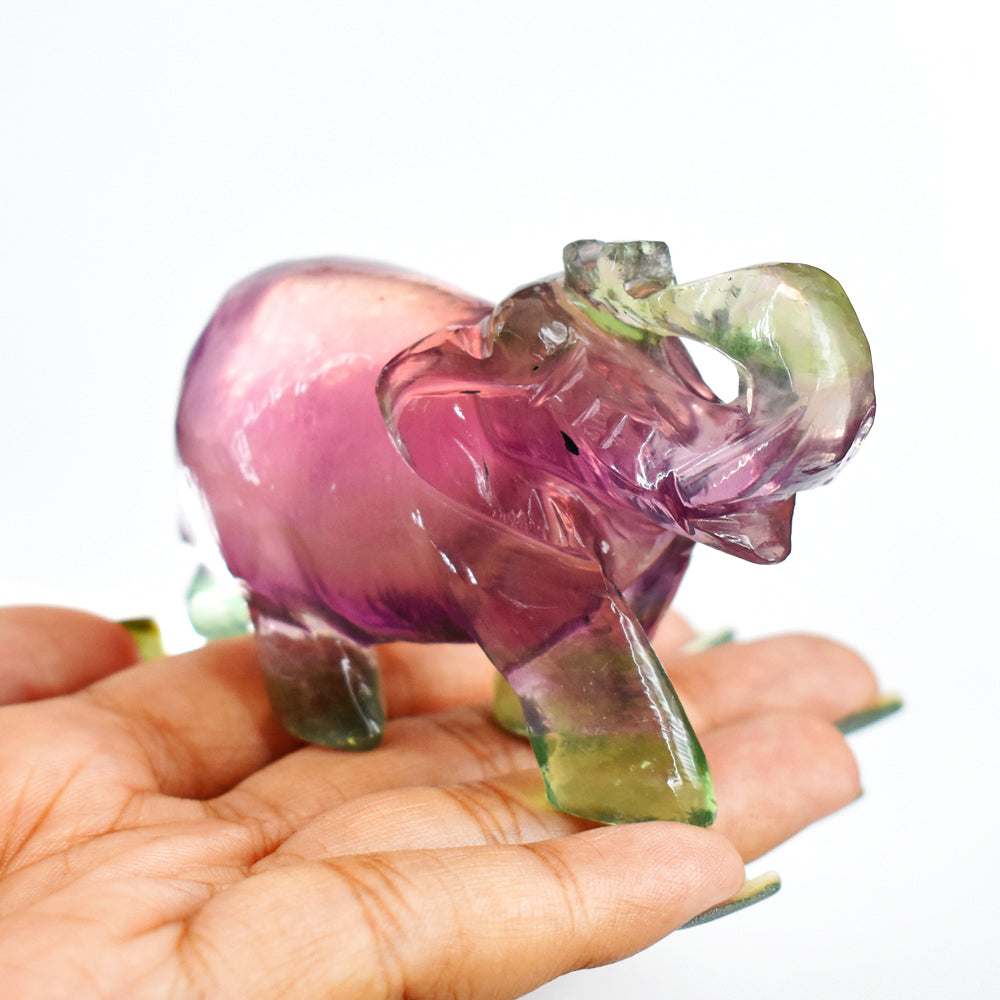 Gorgeous 590.00 Cts Genuine Multicolor Fluorite Hand Carved Crystal Gemstone Carving Elephant