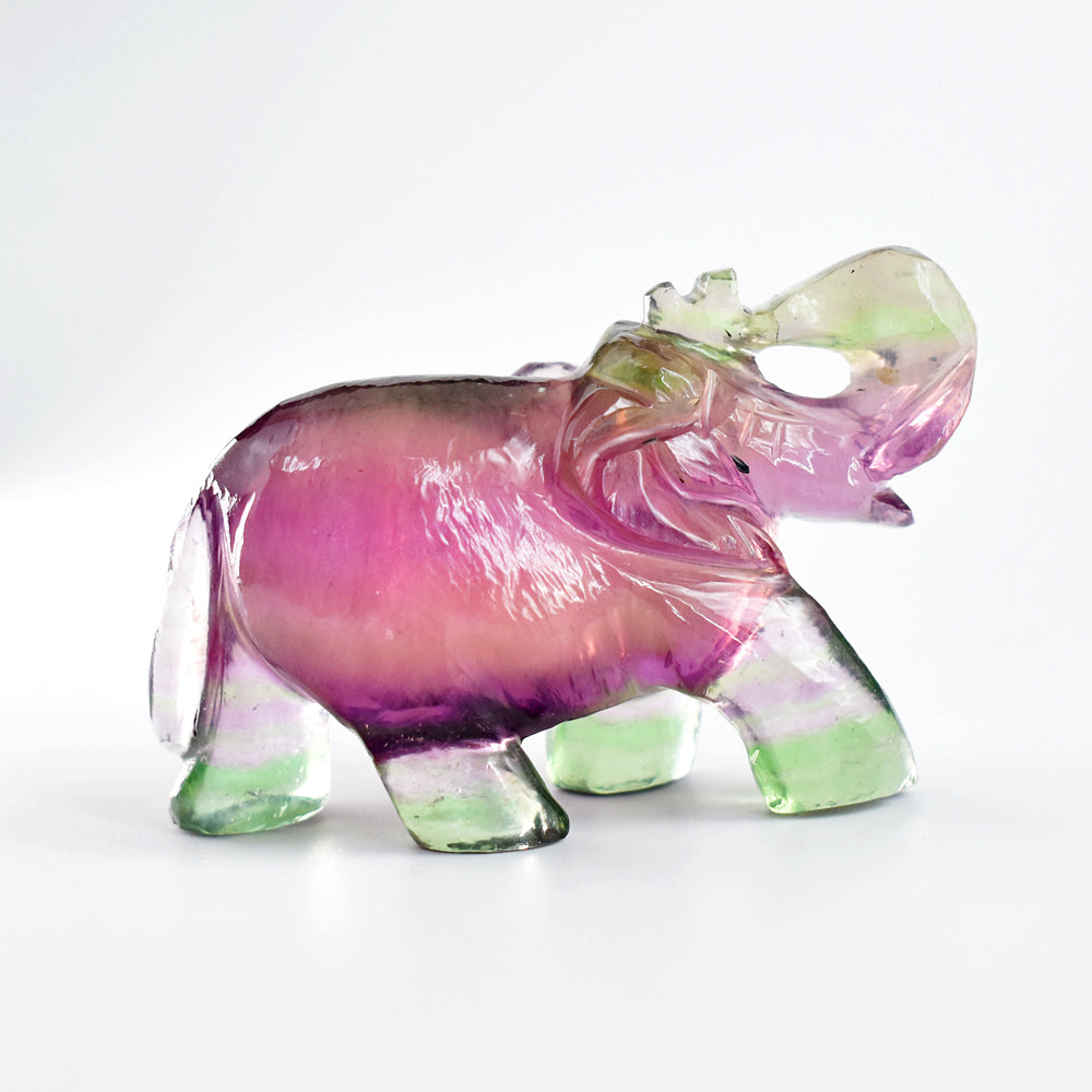 Gorgeous 590.00 Cts Genuine Multicolor Fluorite Hand Carved Crystal Gemstone Carving Elephant