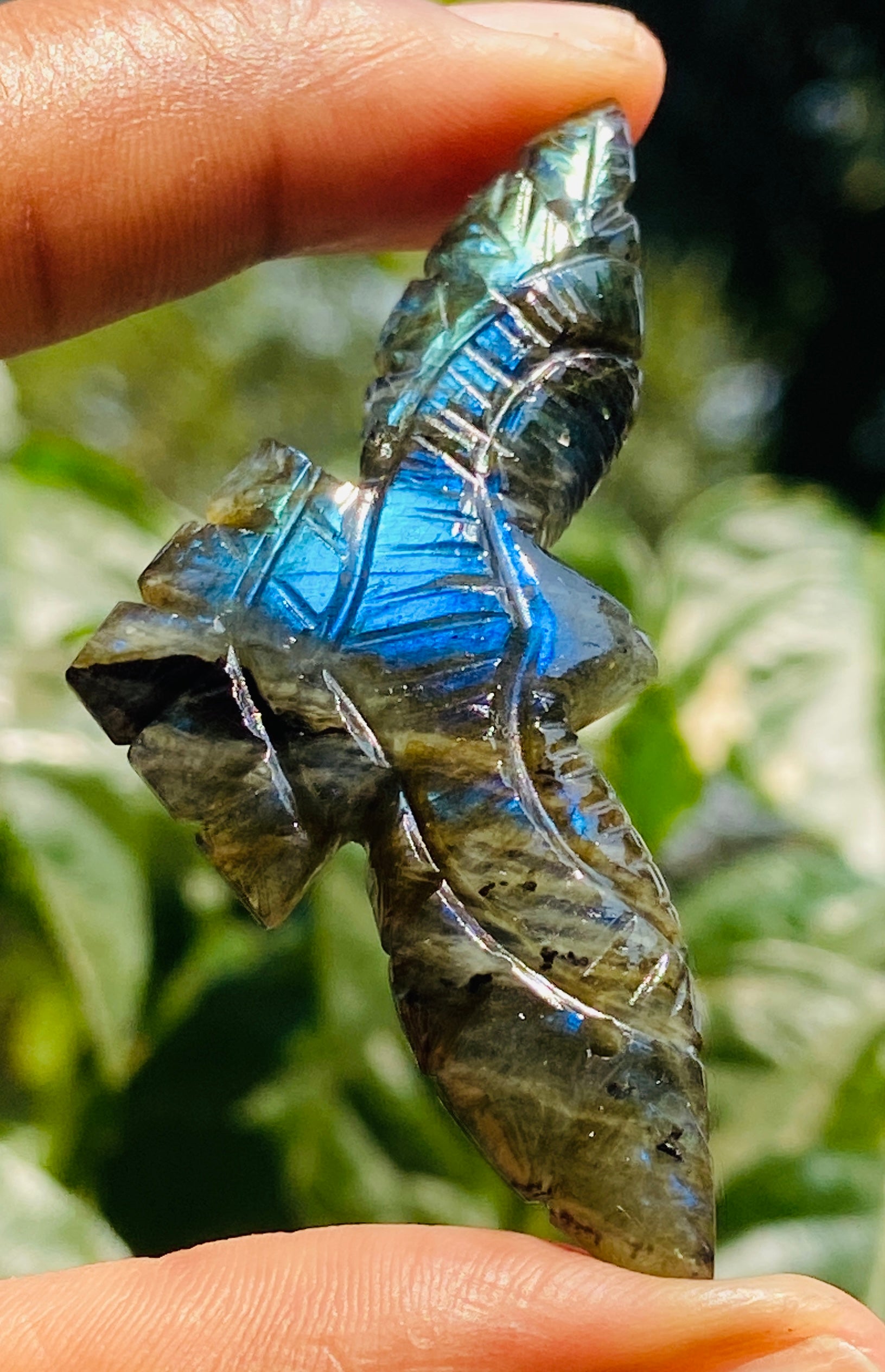 Best Ever 49.00 Cts genuine Blue Flash Labradorite Hand Carved Premium Eagle Crystal