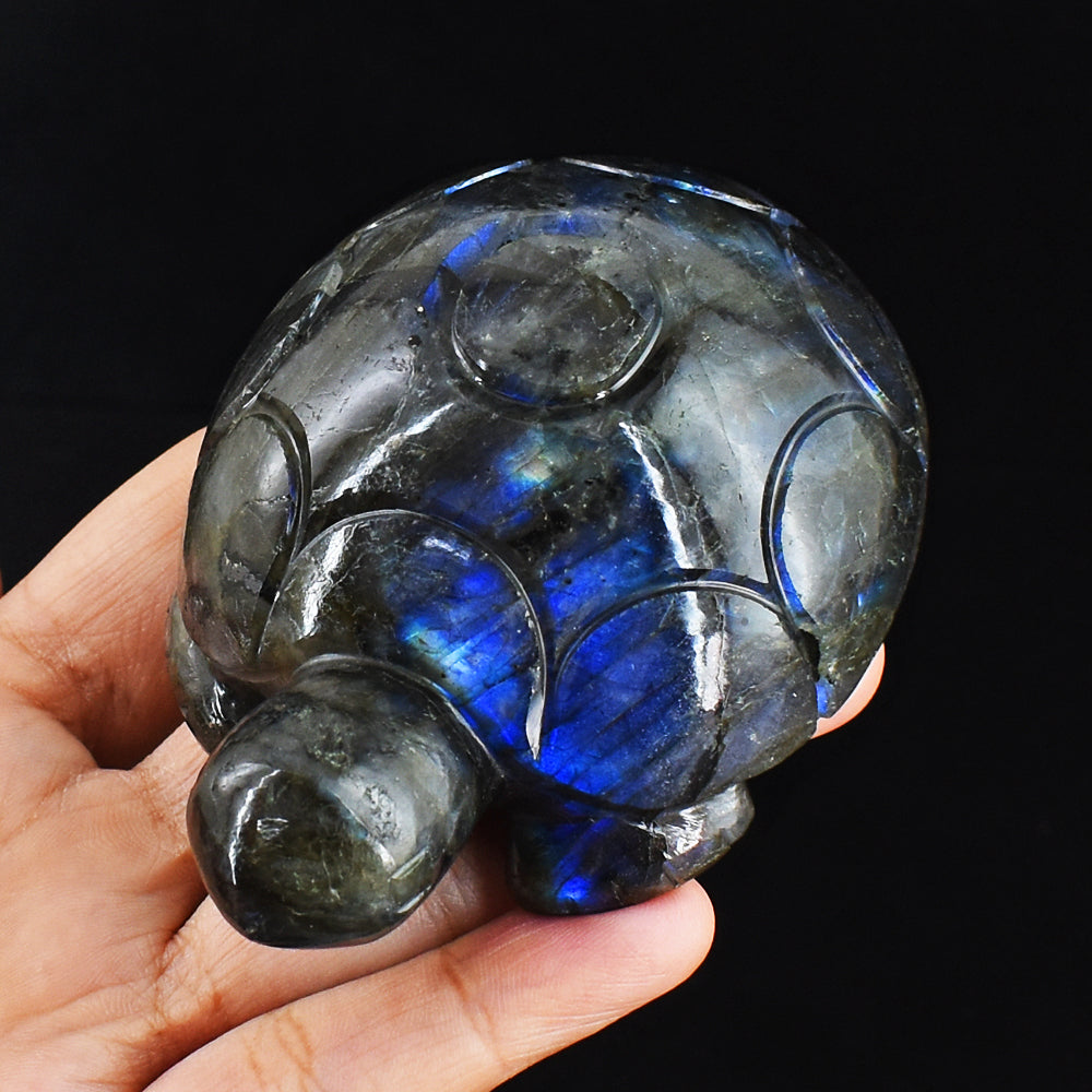 Craftsmen 1186.00 Cts  Genuine  Blue Flash Labradorite Hand Carved Crystal Turtle Carving