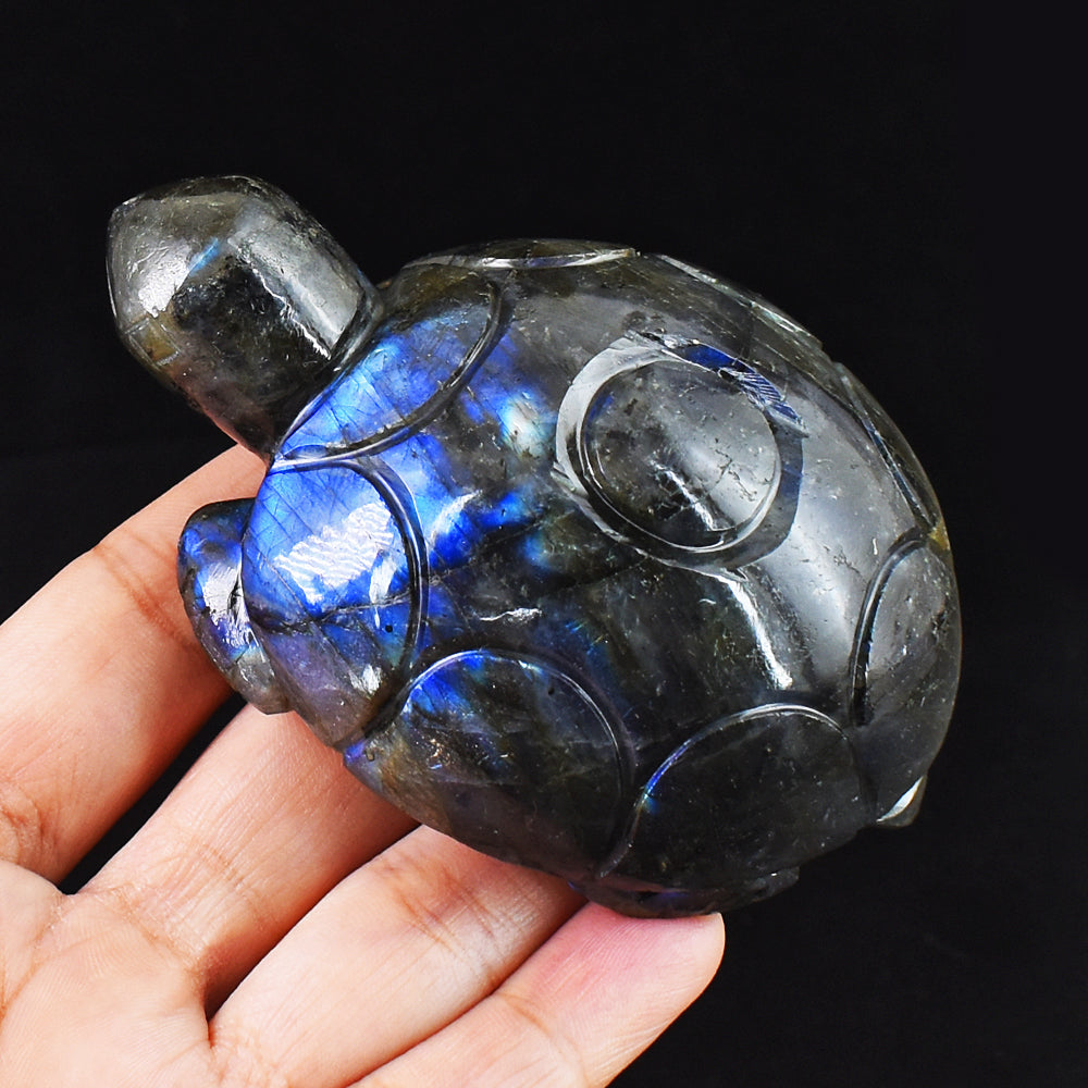 Craftsmen 1186.00 Cts  Genuine  Blue Flash Labradorite Hand Carved Crystal Turtle Carving