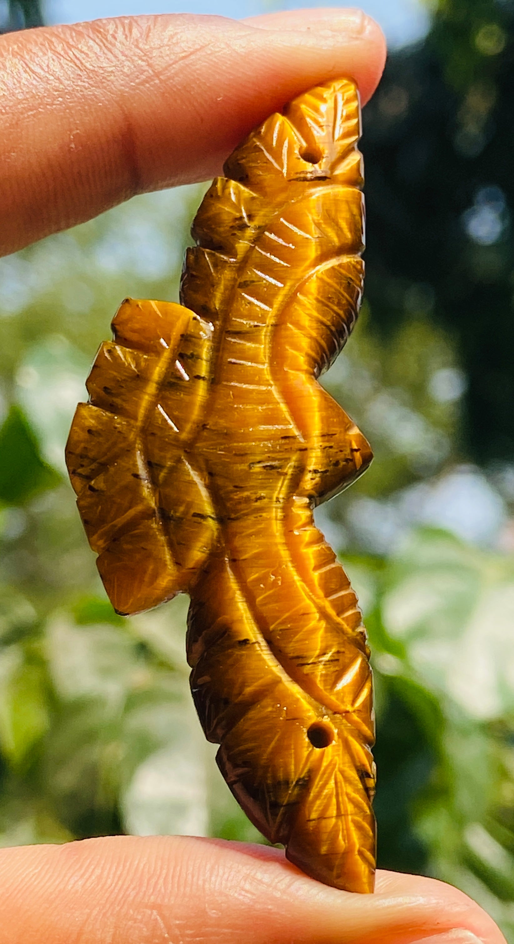 Natural 49.00 Cts Genuine Golden Tiger Eye Hand Carved Premium Eagle Crystal