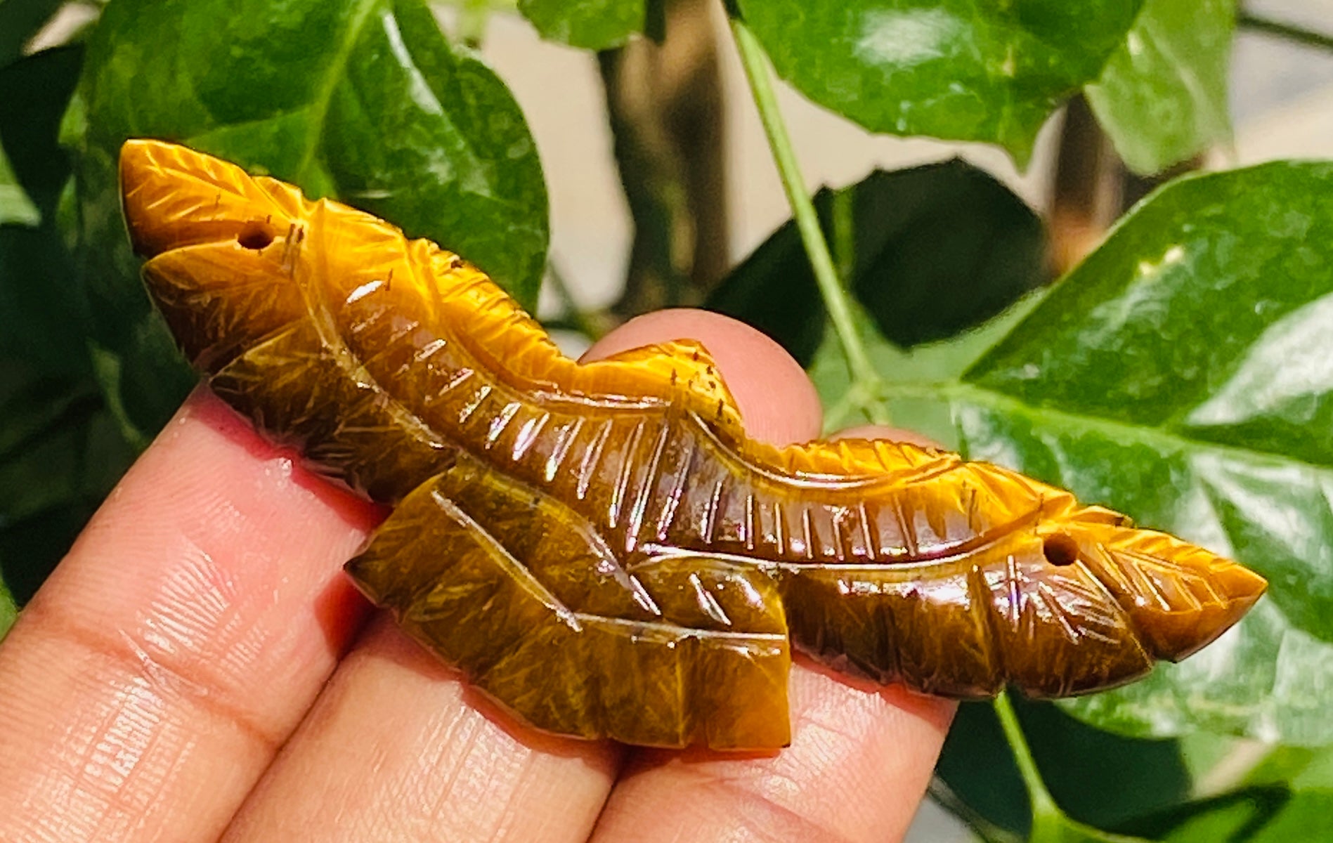 Natural 49.00 Cts Genuine Golden Tiger Eye Hand Carved Premium Eagle Crystal
