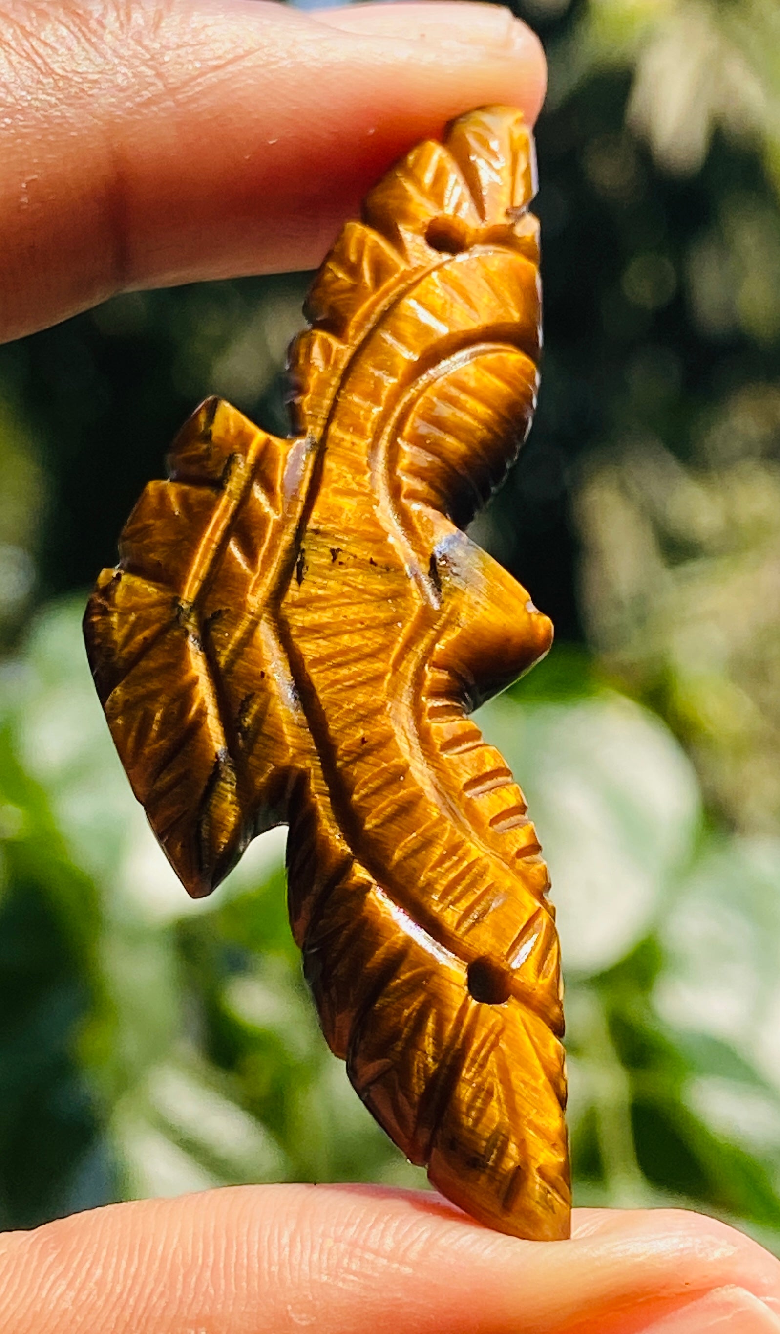 Genuine 35.00 Cts Amazing Golden Tiger Eye Hnad Carved Premium Eagle Crystal