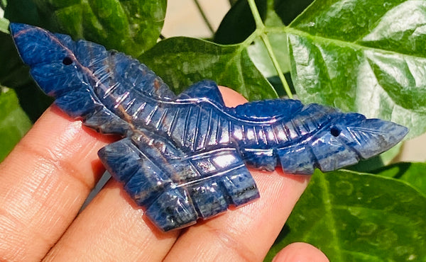 Cordial 52.00 Cts Genuine Hand Carved Blue sodalite Crystal Premium Eagle