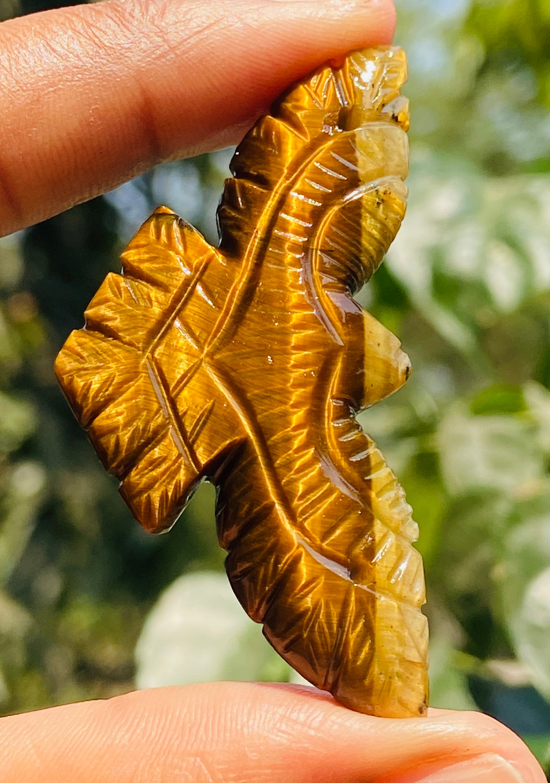 Artisian 48.00 Cts Genuine Golden Tiger Eye Hnad Carved Premium Eagle Crystal