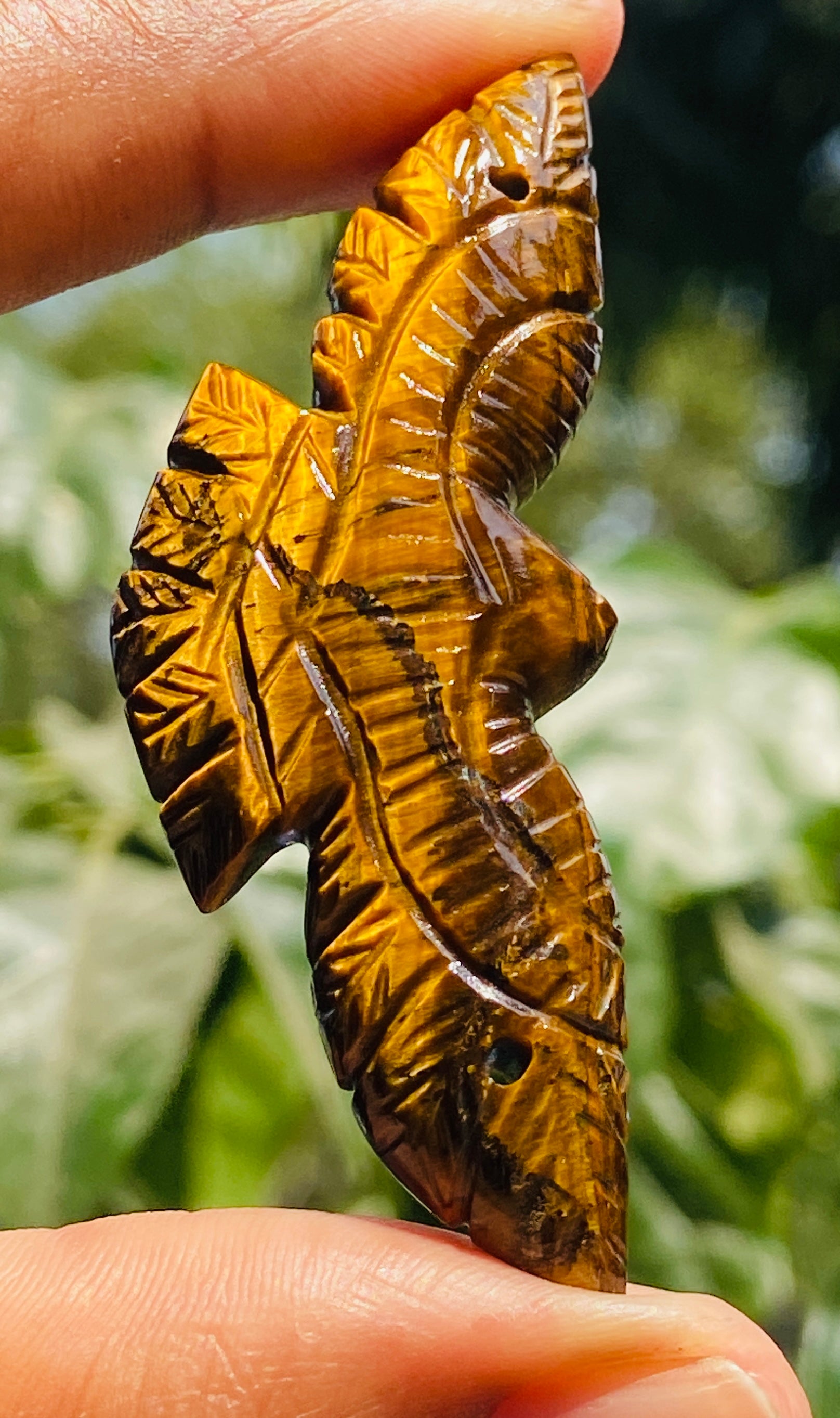 Ravishing 52.00 Cts Genuine Golden Tiger Eye Hand Carved Premium Drilled Eagle