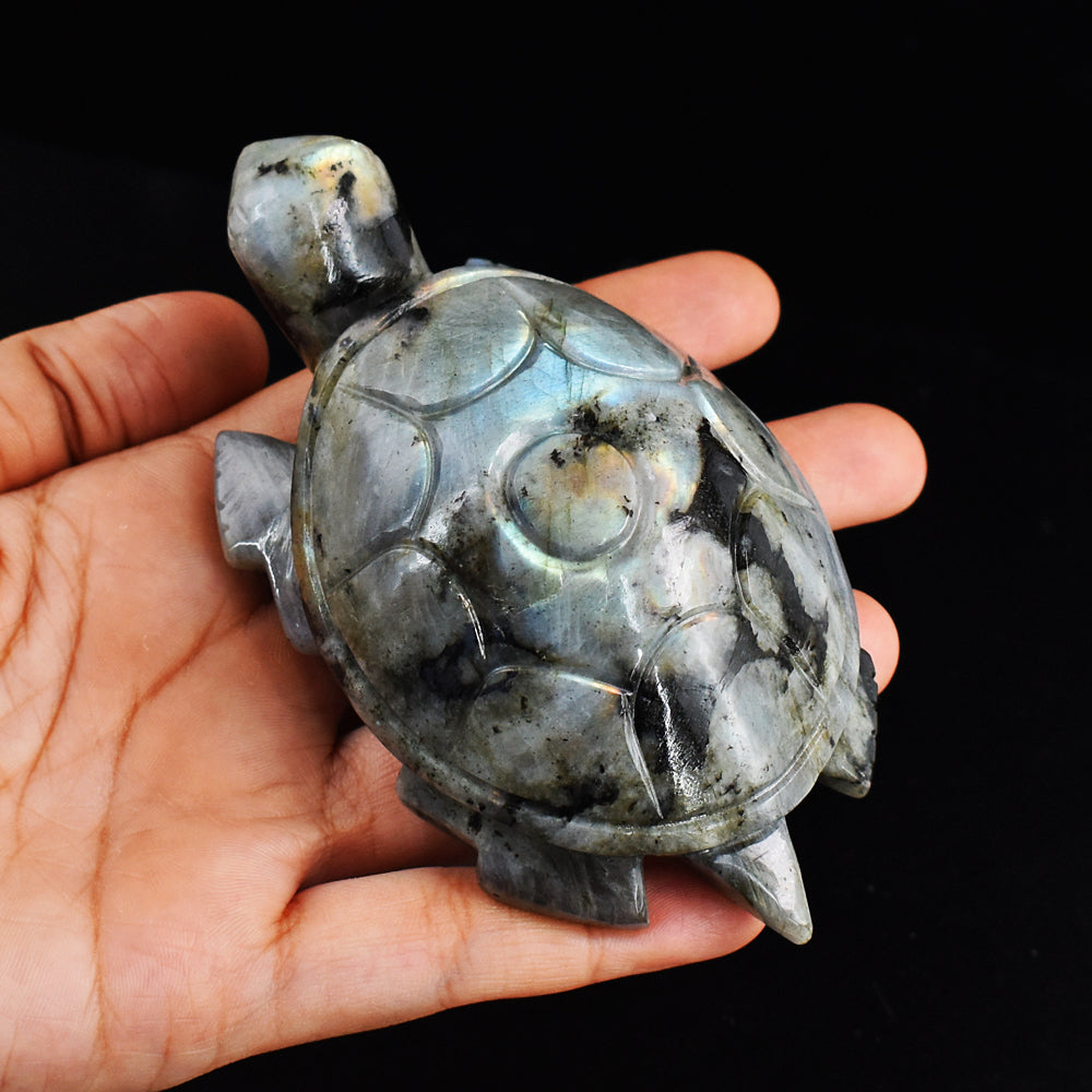 1288.00 Carats  Genuine Blue & Golden Flash Labradorite  Hand Carved  Crystal Gemstone Turtle Carving