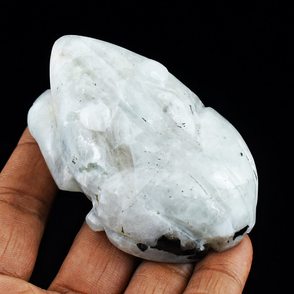 Exclusive Blue Flash  Moonstone  644.00 Cts  Hand Carved Genuine Crystal Frog Gemstone Carving