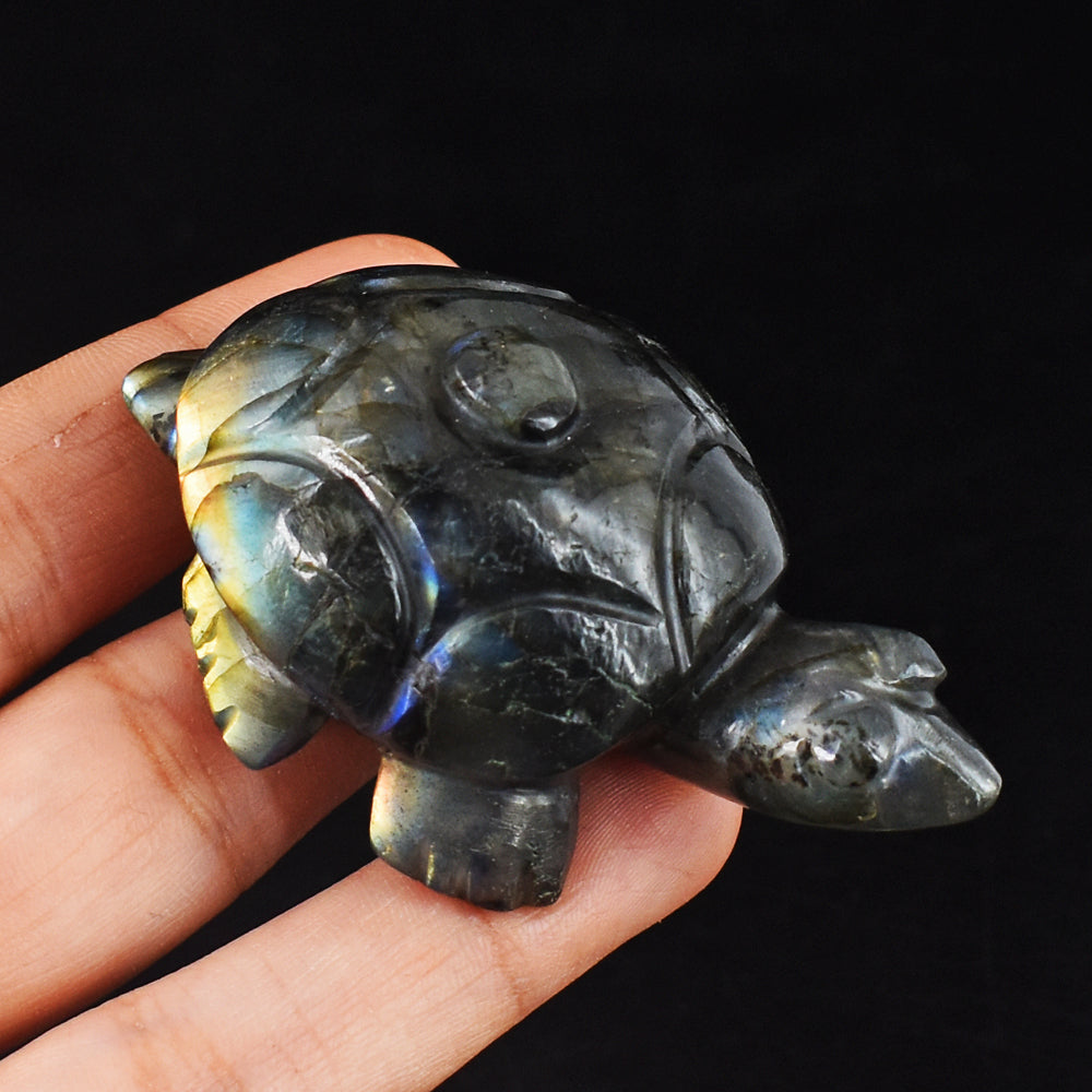 Awesome  352.00 Carats Genuine Golden & Blue Flash Labradorite Hand Carved Crystal Turtle Carving