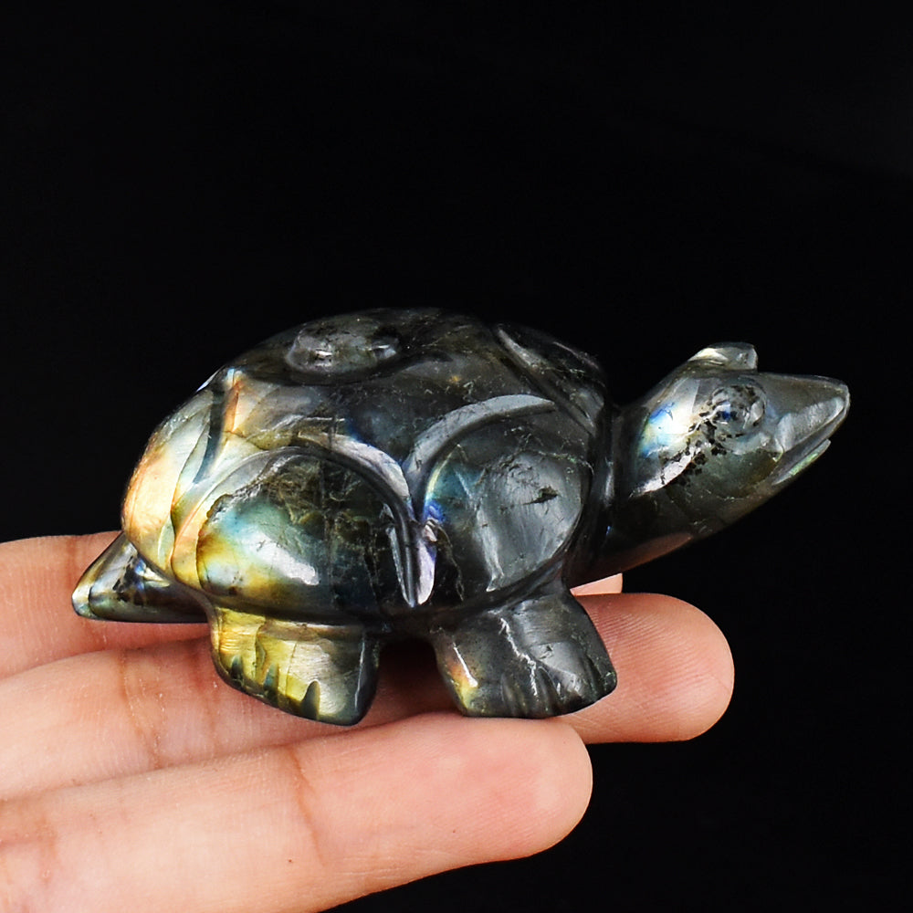 Awesome  352.00 Carats Genuine Golden & Blue Flash Labradorite Hand Carved Crystal Turtle Carving