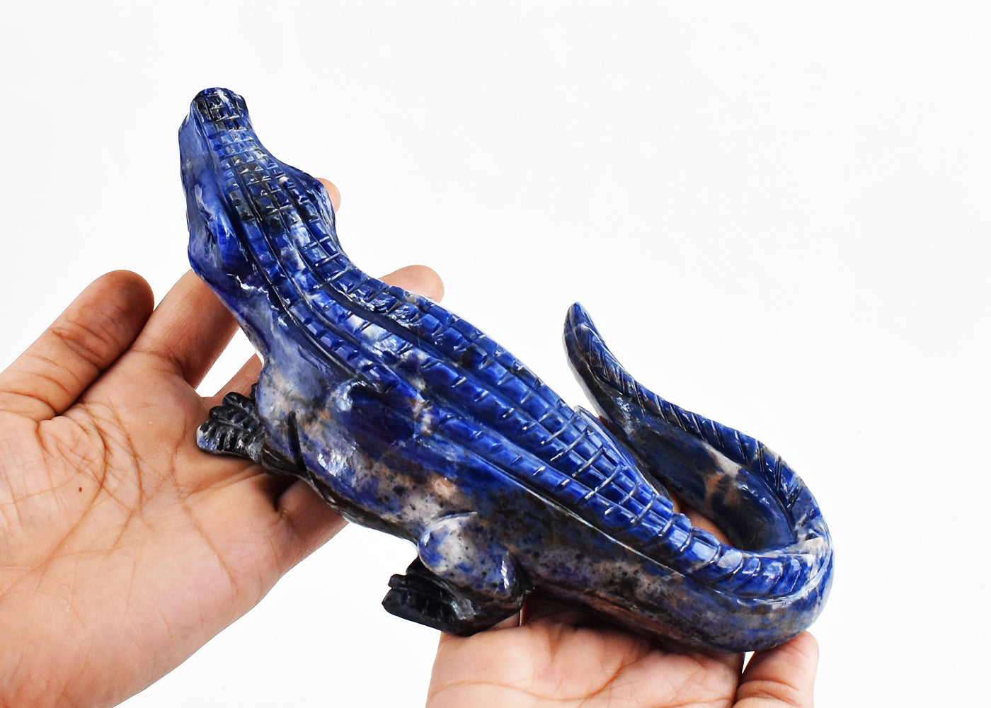 Natural 3571.00 Carats Genuine Sodalite Hand Carved Crystal Crocodile Gemstone Carving