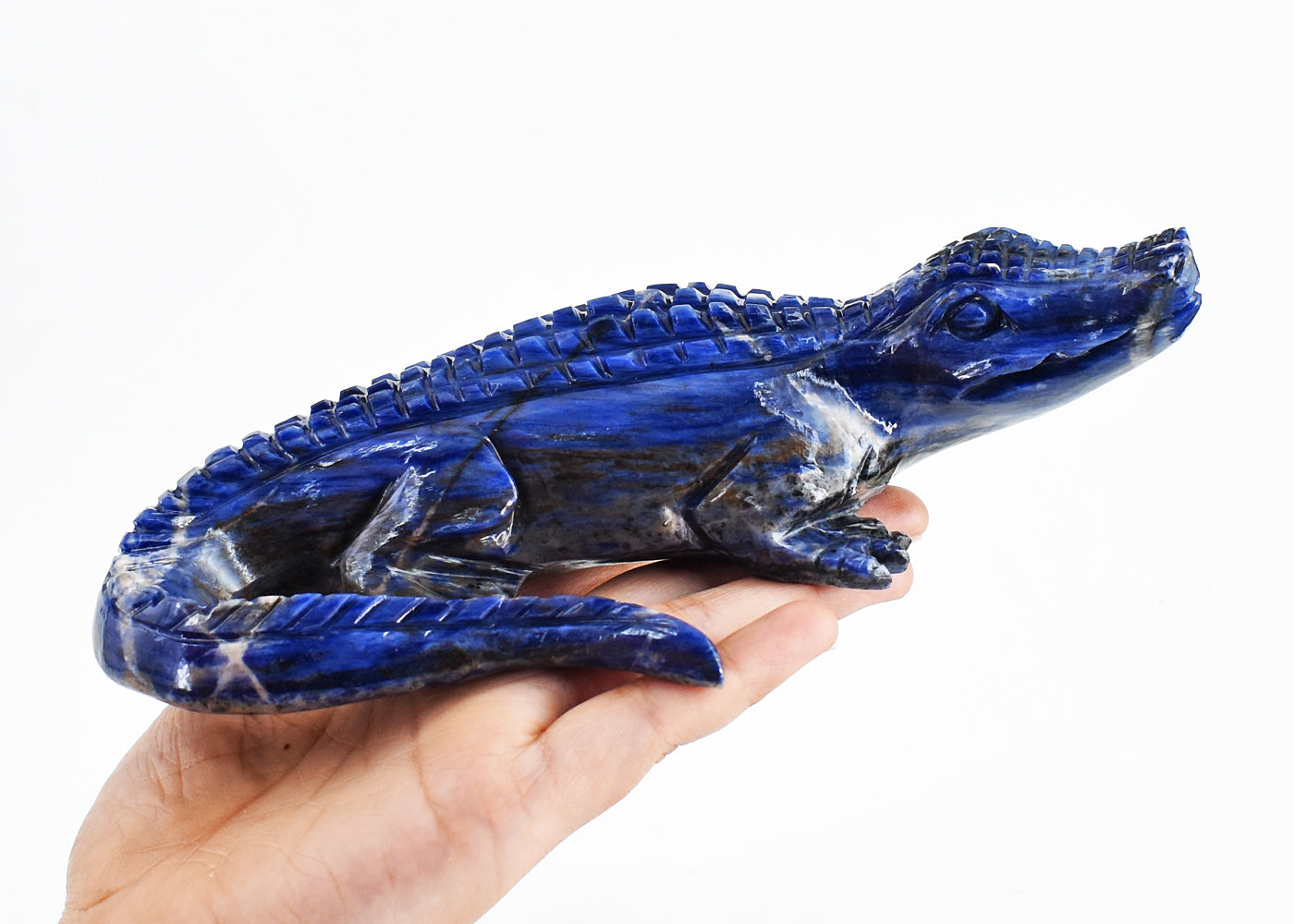 Natural 3571.00 Carats Genuine Sodalite Hand Carved Crystal Crocodile Gemstone Carving