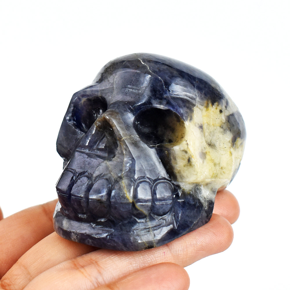Craftsmen  911.00 Carats  Genuine Iolite  Hand Carved Crystal Skull  Gemstone  Carving