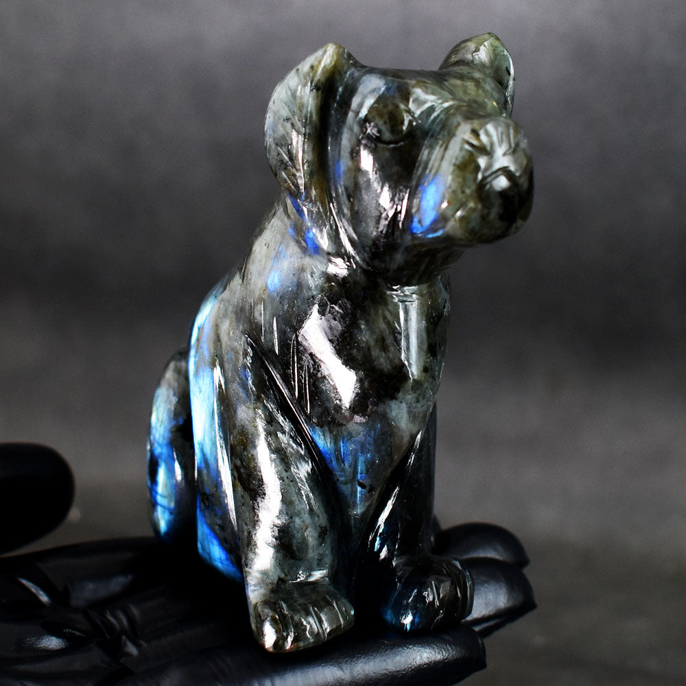 Genuine 1792.00 Cts Artisian Blue Flash Labradorite Crystal Hand Carved Dog Gemstone Carving