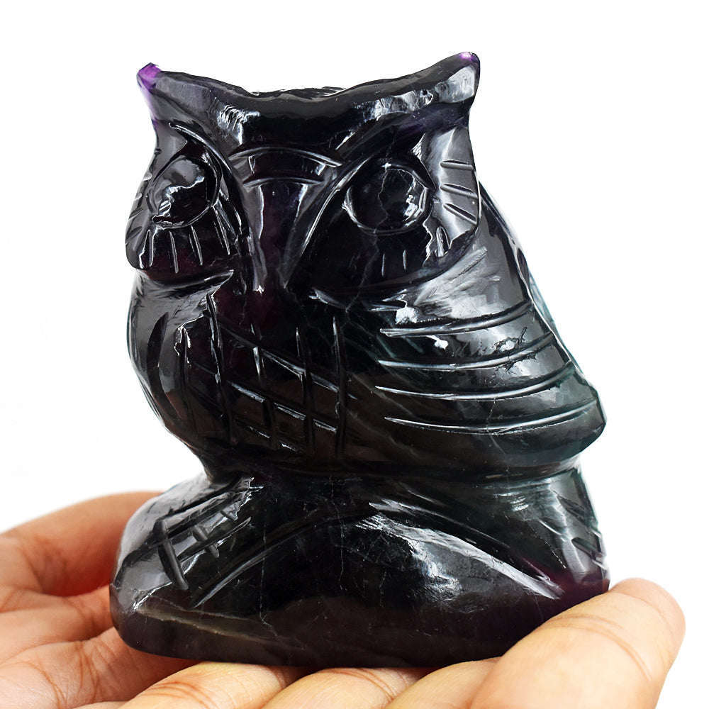 gemsmore:Amazing Multicolor Fluorite Hand Carved Genuine Crystal Gemstone Owl Carving
