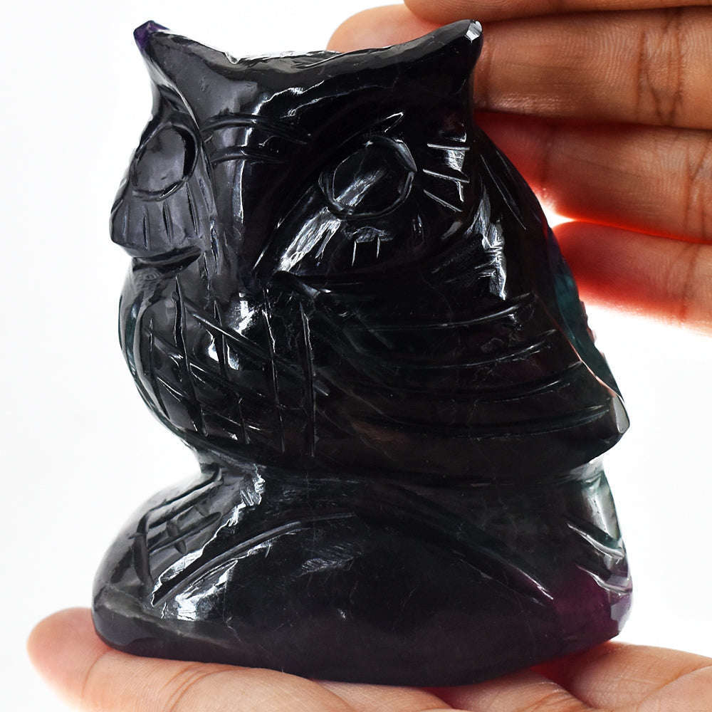 gemsmore:Amazing Multicolor Fluorite Hand Carved Genuine Crystal Gemstone Owl Carving