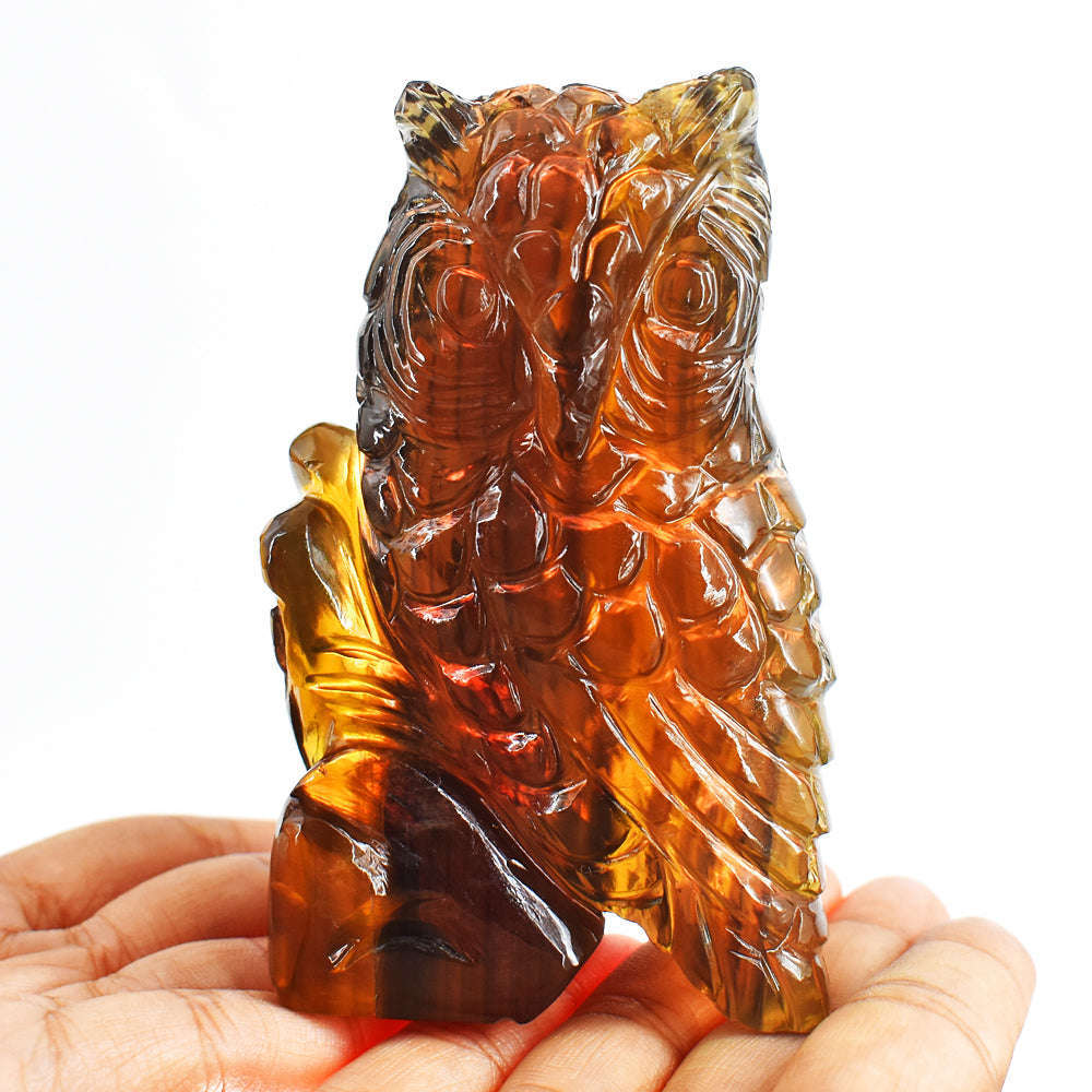gemsmore:Amazing Multicolor Fluorite Hand Carved Genuine Crystal Gemstone Owl Carving
