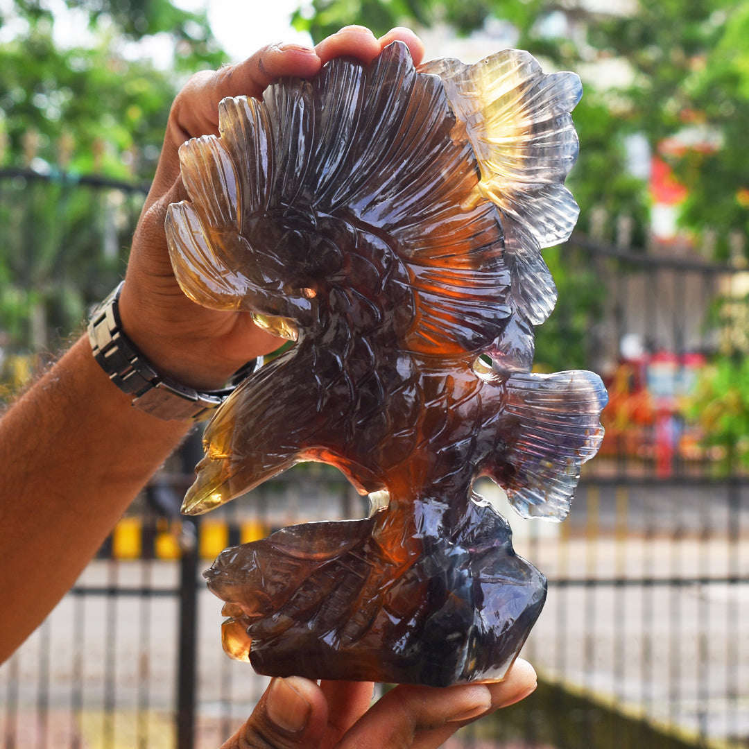 gemsmore:Craftsmen 5950.00  Cts  Genuine  Multicolor Fluorite Hand Carved Crystal Gemstone  Eagle Craving