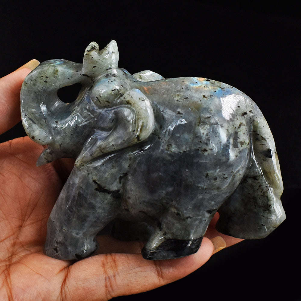gemsmore:Exclusive Blue Flash Labradorite  Hand Carved Genuine Crystal Gemstone Carving Elephant