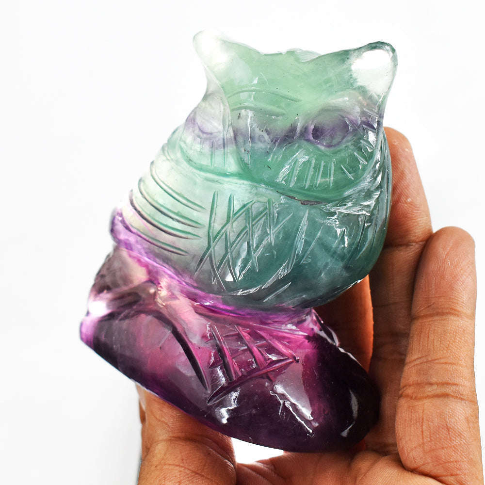gemsmore:Gorgeous 1367.00 Cts  Multicolor Fluorite Hand Carved Crystal Owl Gemstone Carving