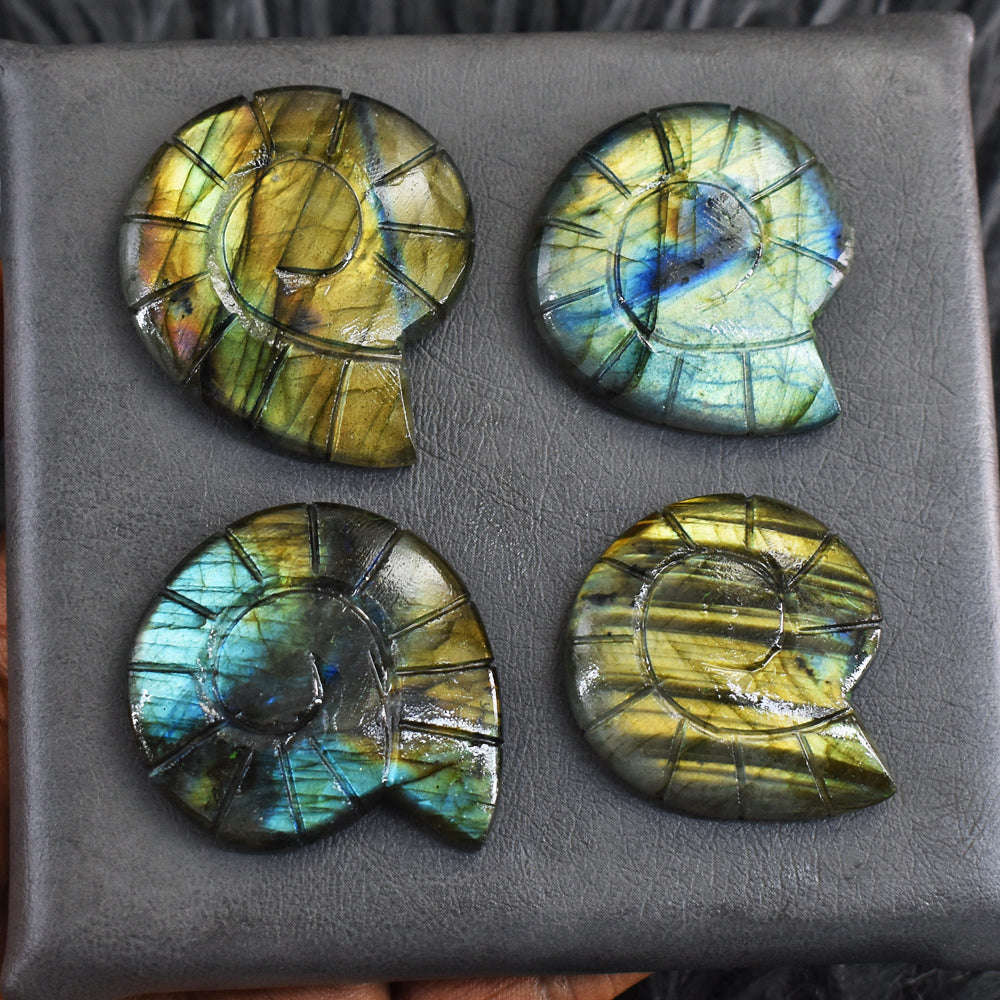gemsmore:Amazing 313 Carats  Genuine Amazing Flash Labradorite Ammonite Lot