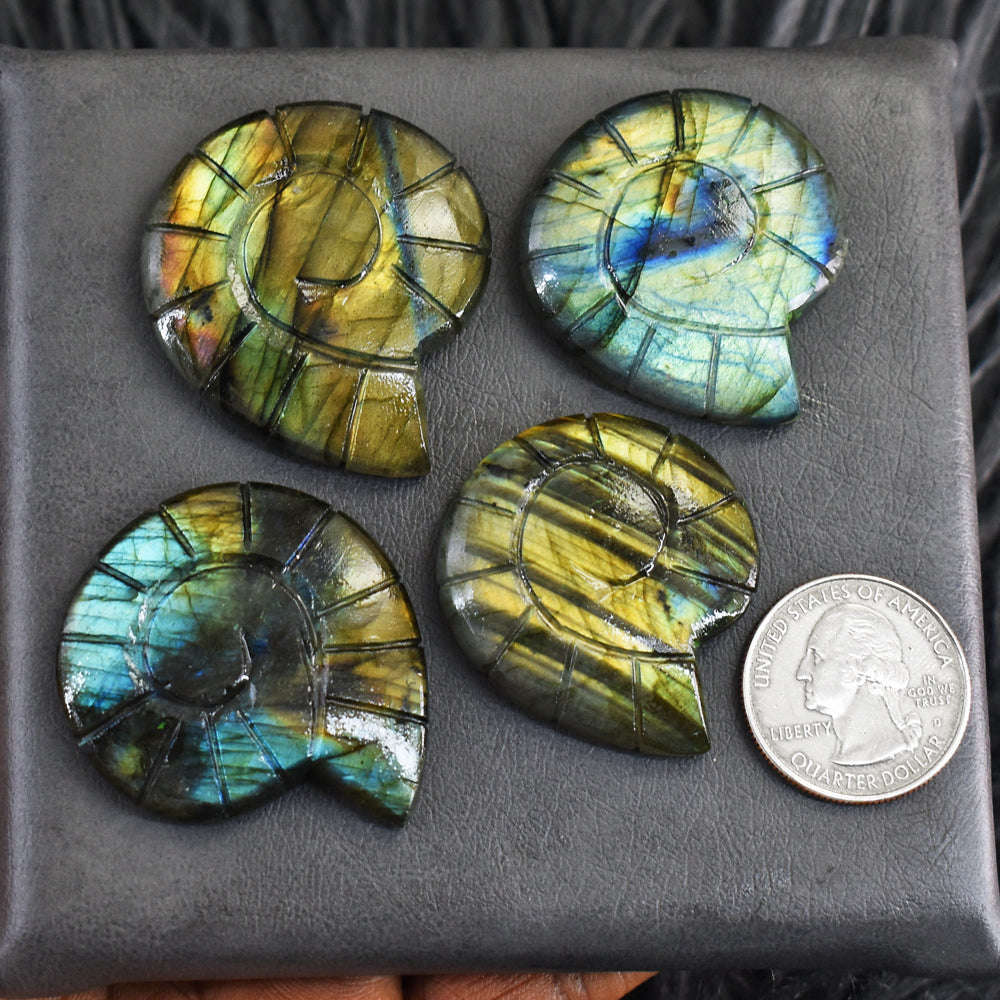 gemsmore:Amazing 313 Carats  Genuine Amazing Flash Labradorite Ammonite Lot