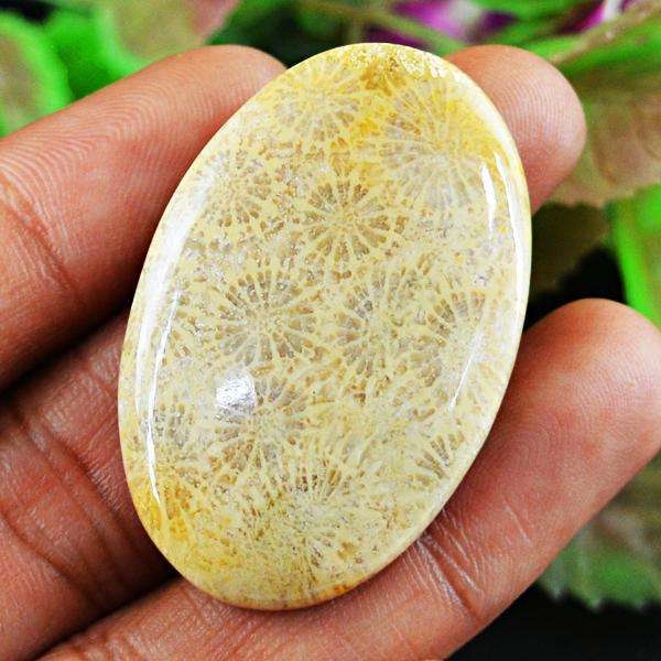 gemsmore:Amazing Coral Fossil Oval Shape Loose Gemstone