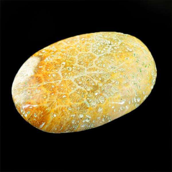 gemsmore:Amazing Coral Fossil Oval Shape Untreated Loose Gemstone