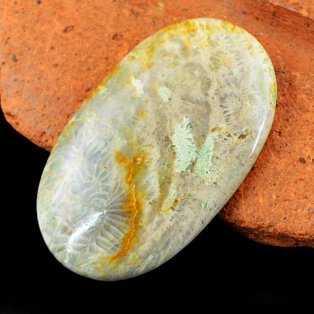 gemsmore:Amazing Coral Fossil Oval Shape Untreated Loose Gemstone