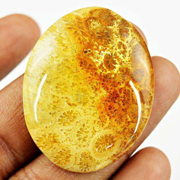 gemsmore:Amazing Coral Fossil Oval Shape Untreated Loose Gemstone