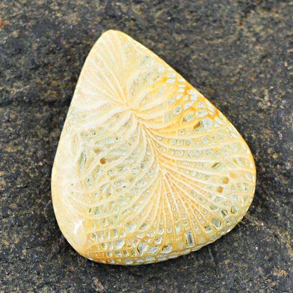 gemsmore:Amazing Coral Fossil Pear Shape Loose Gemstone