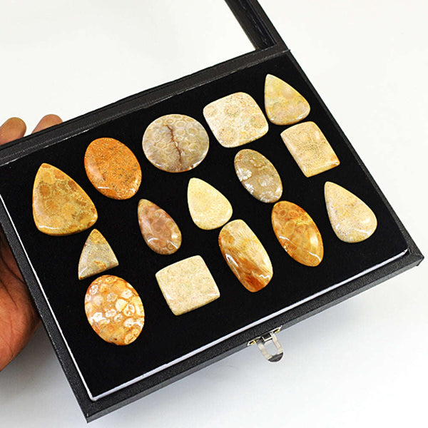 gemsmore:Amazing Coral Fossil Untreated Gemstone Cabochon Lot