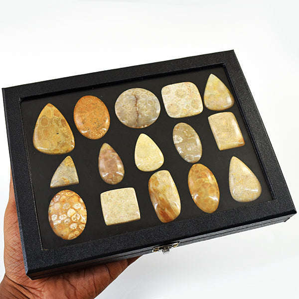gemsmore:Amazing Coral Fossil Untreated Gemstone Cabochon Lot
