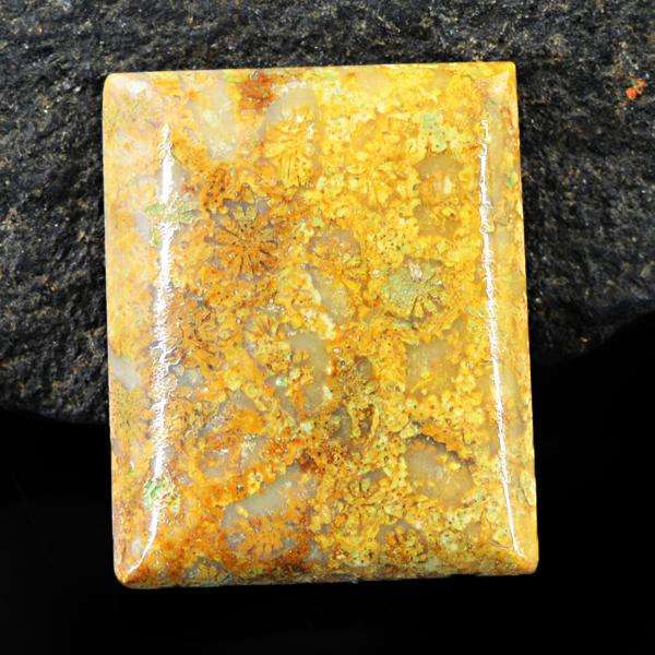 gemsmore:Amazing Coral Fossil Untreated Loose Gemstone