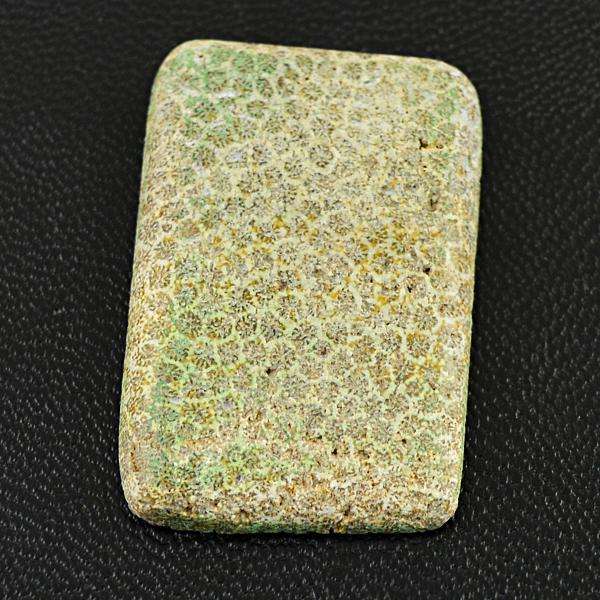gemsmore:Amazing Coral Fossil Untreated Loose Gemstone
