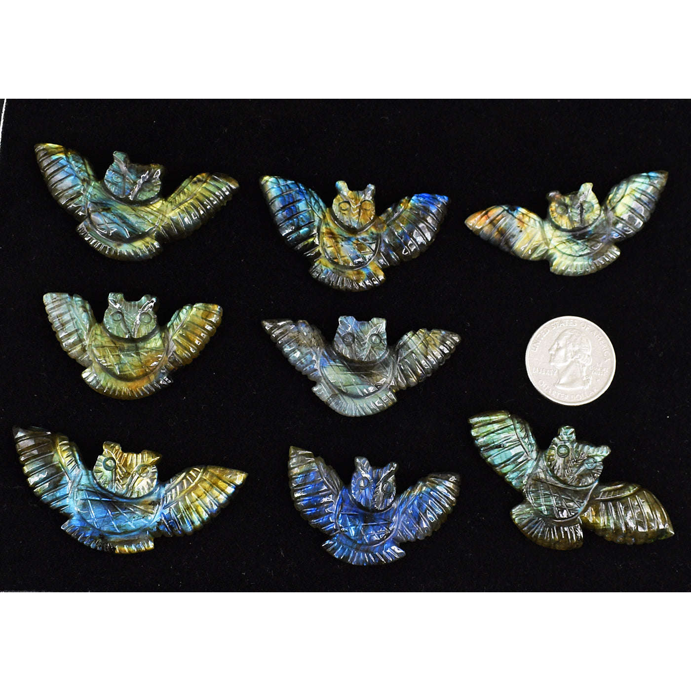 gemsmore:Amazing Flash Labradorite Untreated Carved Skull Wing Gemstone Cabochon Lot