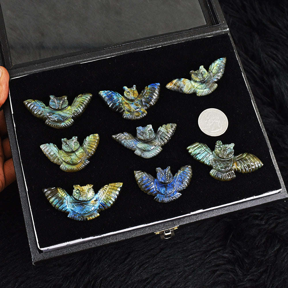 gemsmore:Amazing Flash Labradorite Untreated Carved Skull Wing Gemstone Cabochon Lot