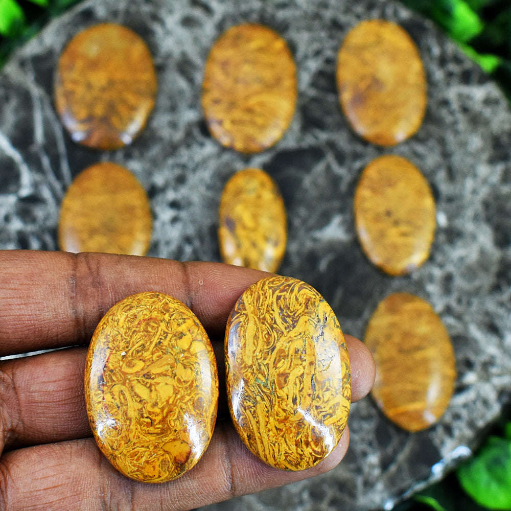 gemsmore:Amazing Golden Art Jasper Untreated Gemstone Cabochon Lot
