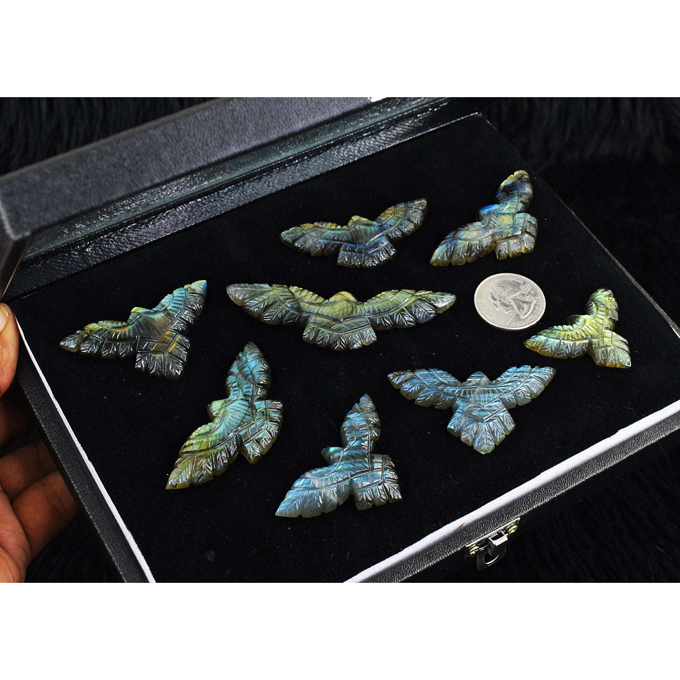 gemsmore:Amazing Golden & Blue Flash  Labradorite Untreated Eagle Cabochon Lot